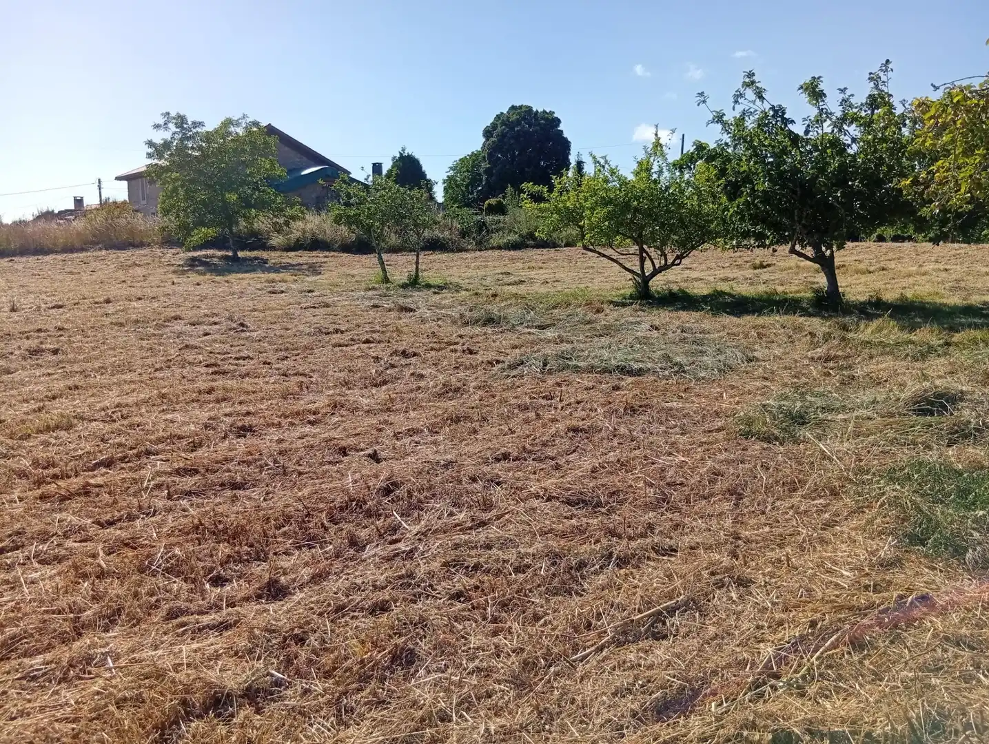 Terreni e lotti in vendita a Lugar BARREIRAS, imagen 14