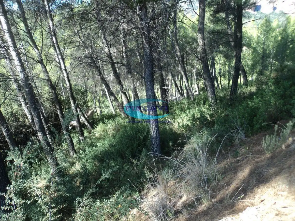 Lands and plots for sale in Bigues i Riells del Fai, imagen 5