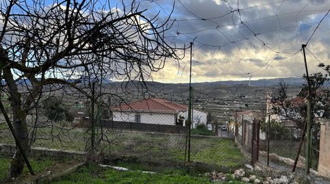 Finca con nave de aperos y pozo en Padul, immagine 2