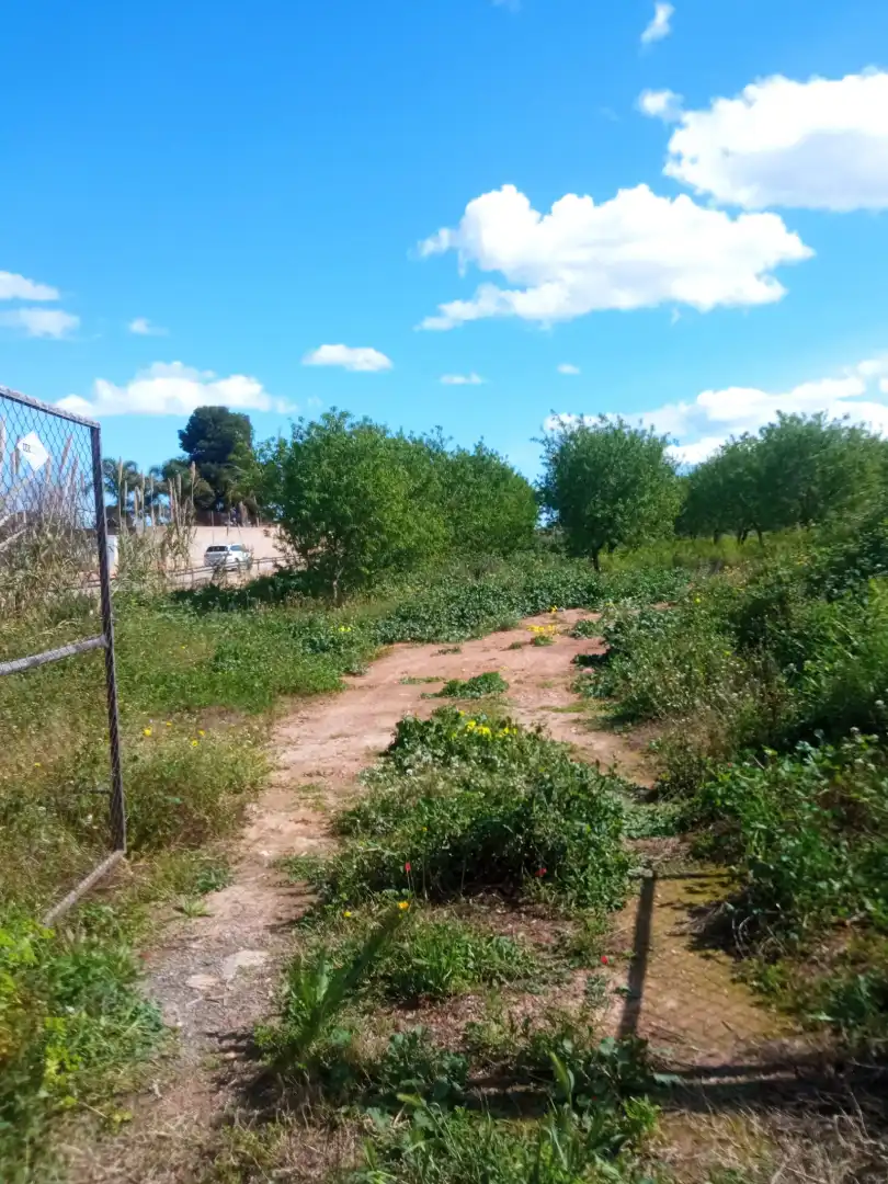 Villa con terrazza in vendita a Plaça Pla del Molí 2, imagen 6