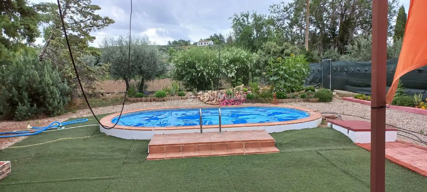 Finca rústica en venta en Camino del Asno, Pedro Abad