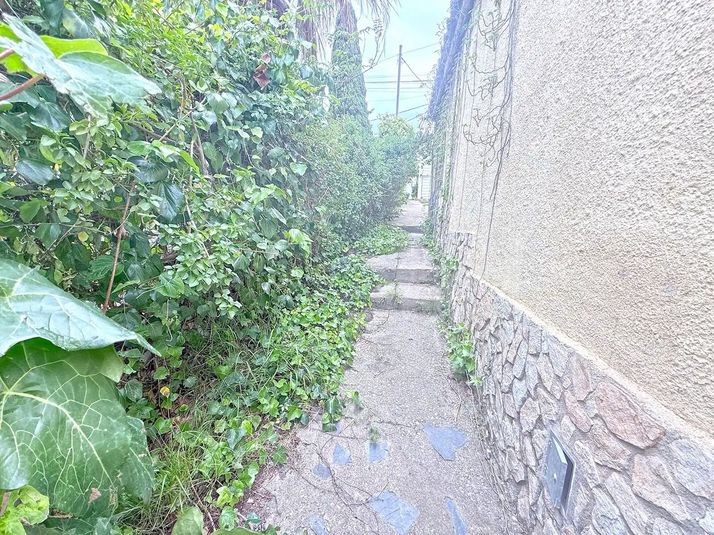 Vista exterior de Casa o xalet en venda en Roses amb Aire condicionat, Calefacció i Jardí privat