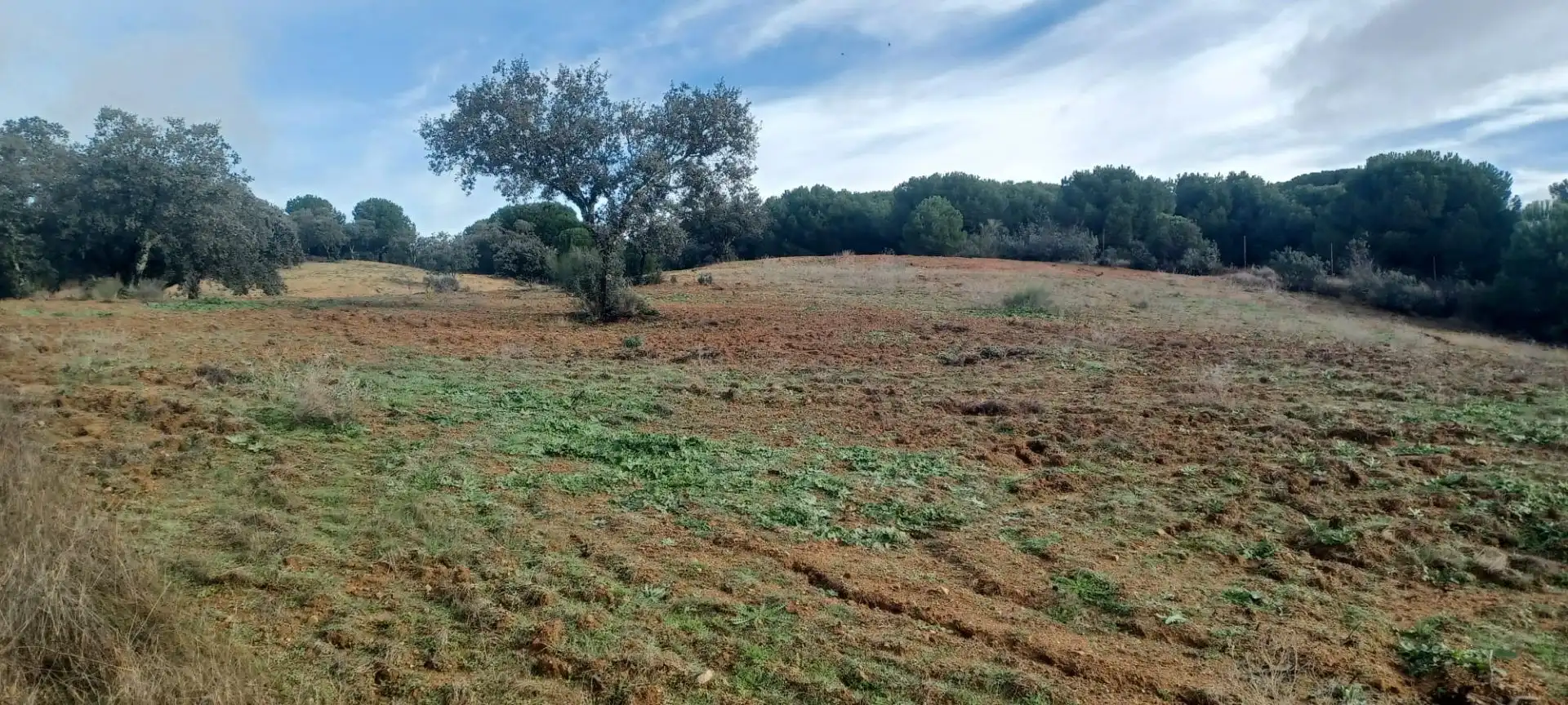 Terreni e lotti in vendita a Cazalla de la Sierra, imagen 42