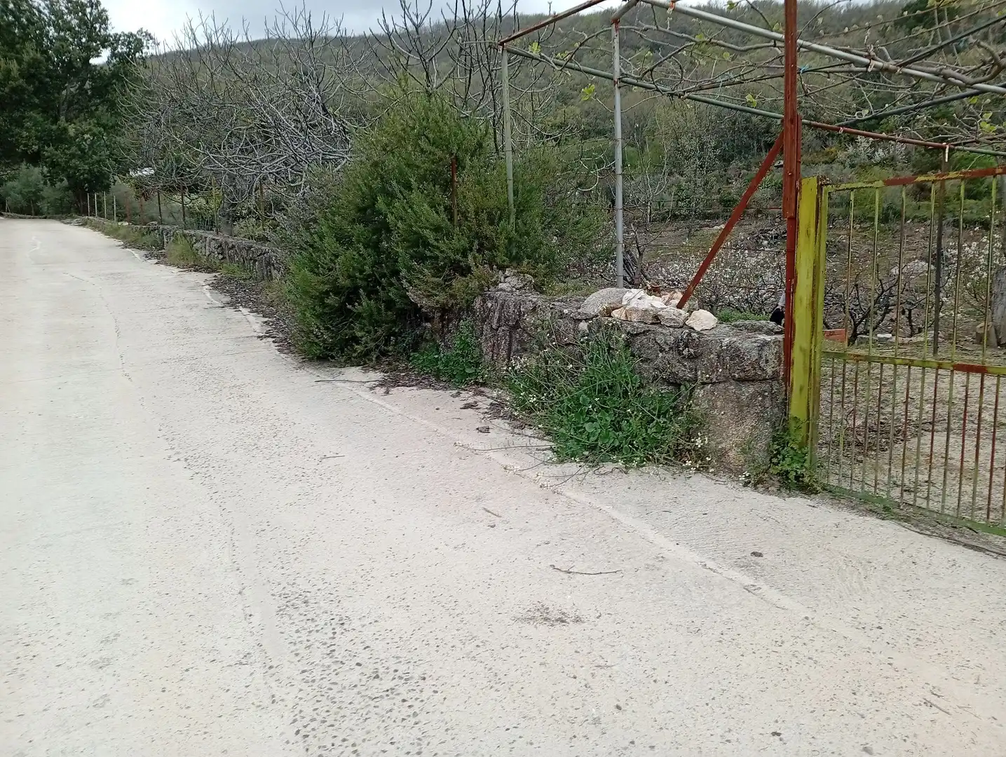 Terreni e lotti in vendita a Villanueva de la Vera, imagen 44