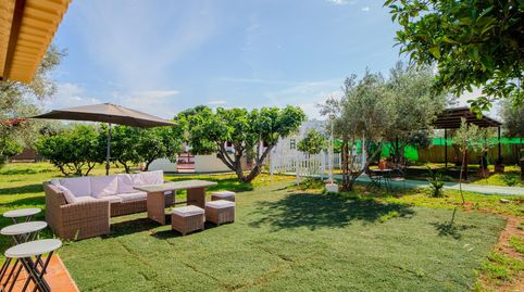 Photo 3 of Houses for sale in Carmona, Sevilla