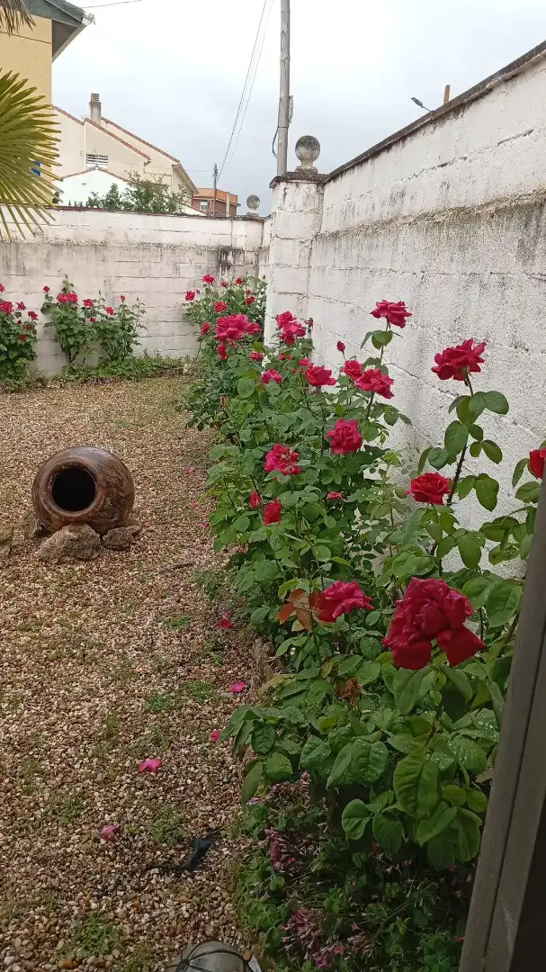 Garden of Houses for sale in Carabaña  with Air Conditioner, Heating and Private garden