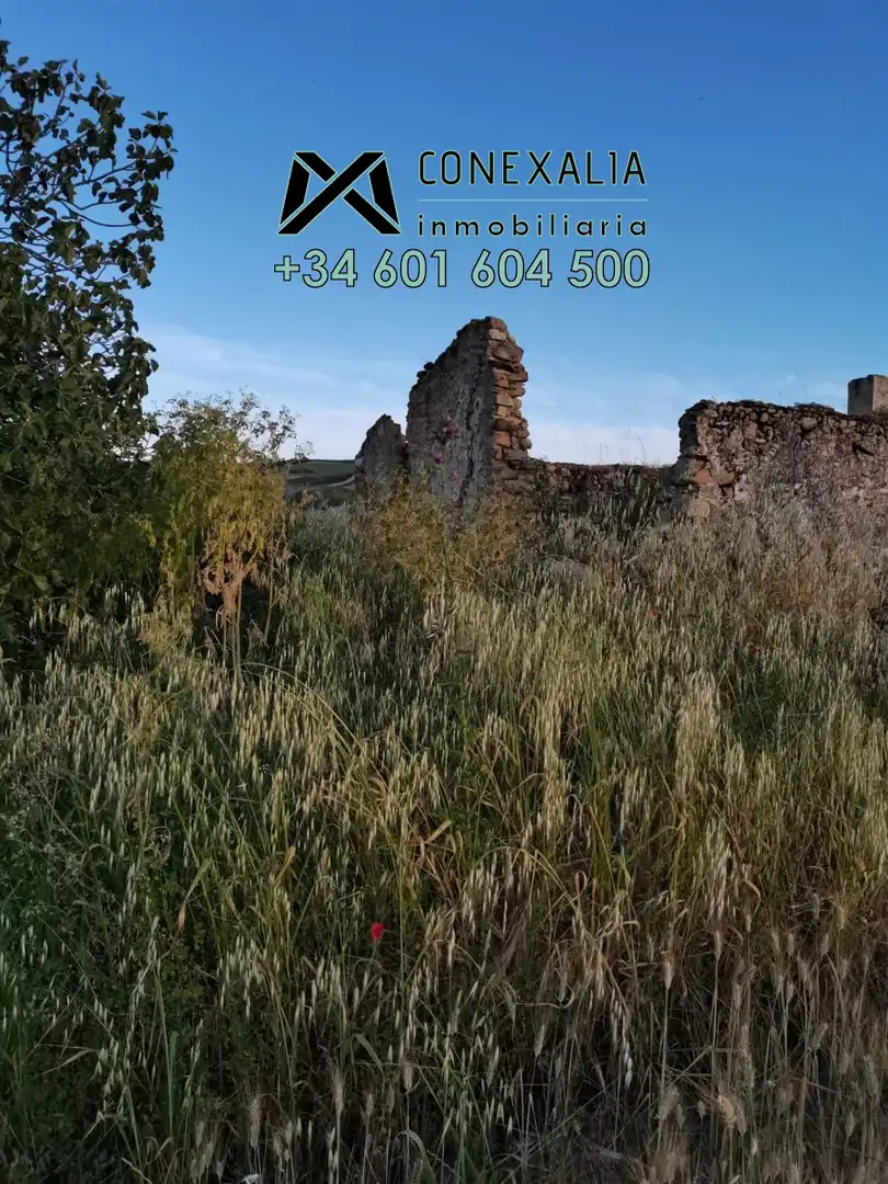 Casa rústica en venda a Setenil de las Bodegas, imagen 9
