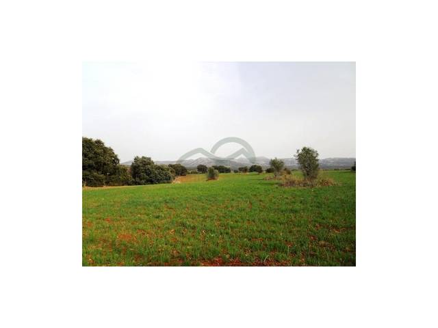 Terreno residencial en Venta en Arriate