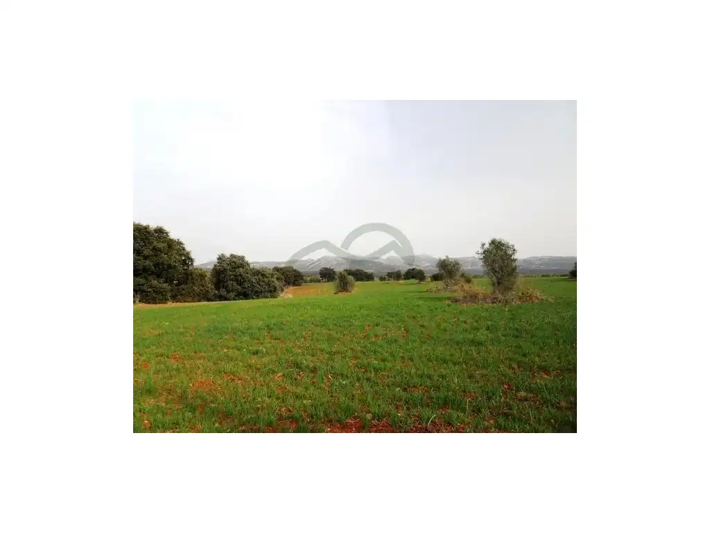 Terreny residencial en venda a Arriate