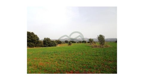 Terreno para Casa de CampoHotel Rural