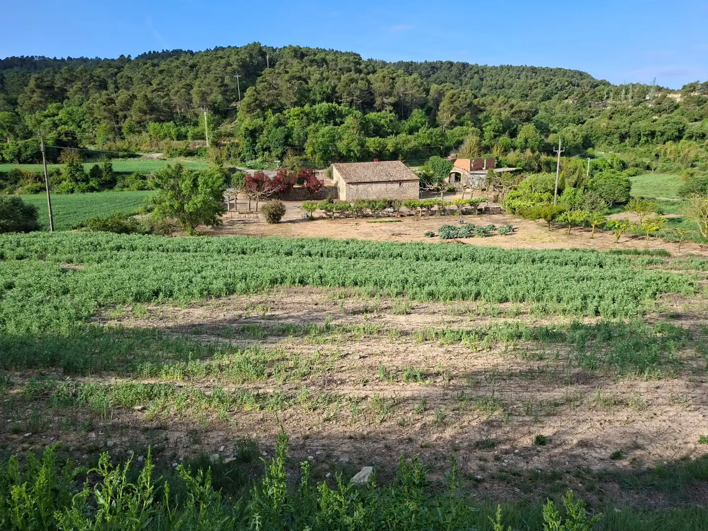 Terreno rústico en venta en Vallbona de Les Monges, imagen 50