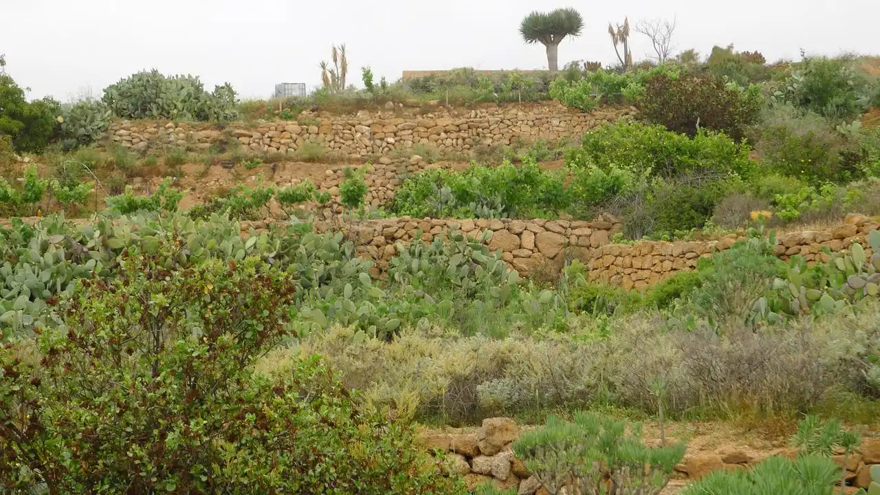Terreny en venda en Granadilla de Abona