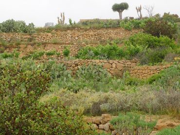 Rustikales Grundstück zum Verkauf in Granadilla de Abona ciudad