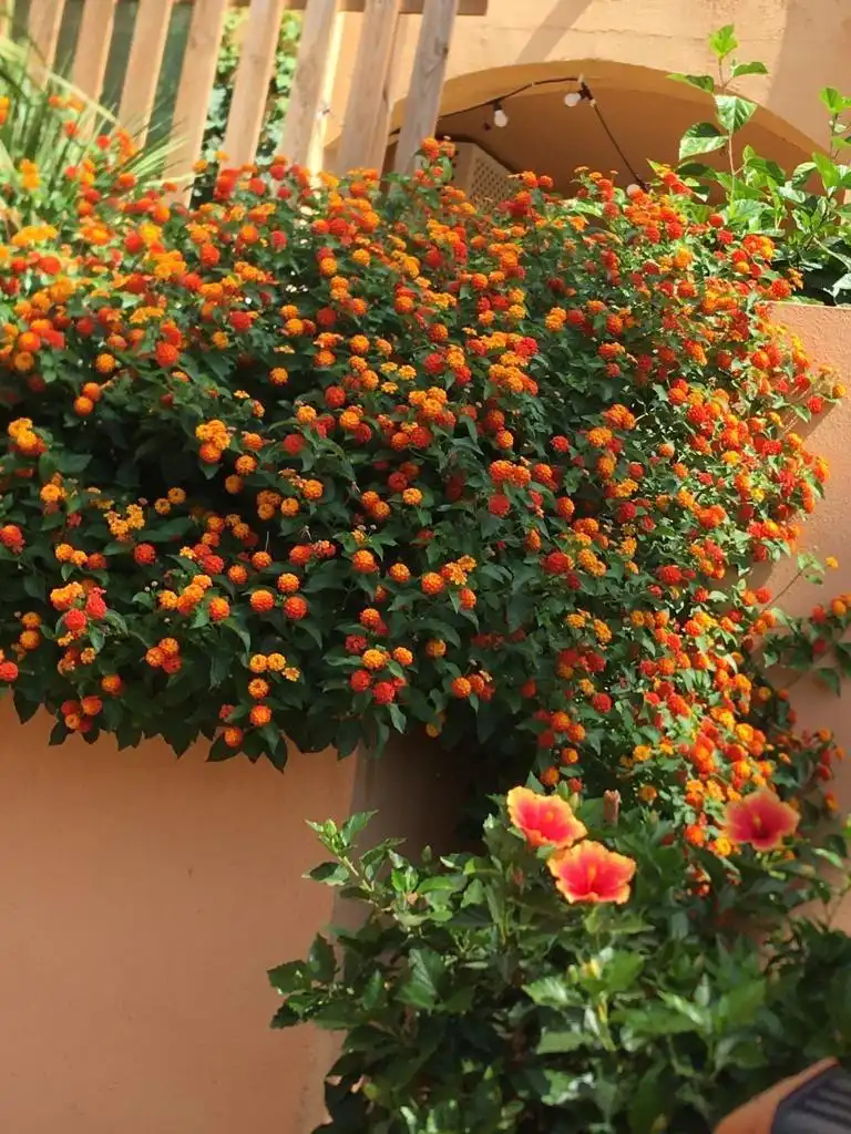 Apartament en venda a Riviera del Sol