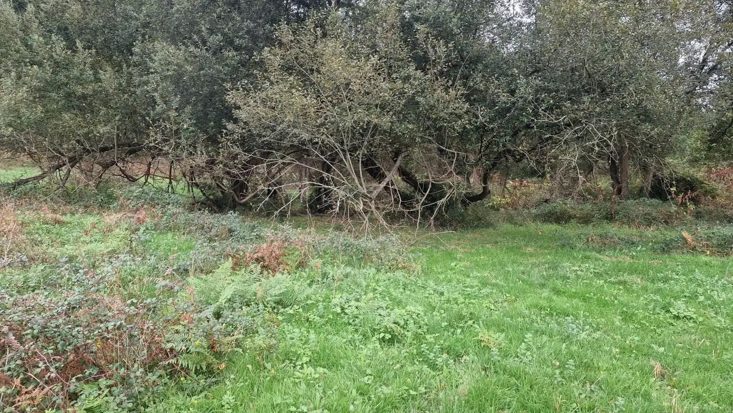 Country homes for sale in Torrelavega 