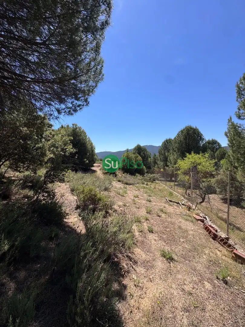 Casa o xalet en venda en San Martín de Valdeiglesias amb Jardí privat