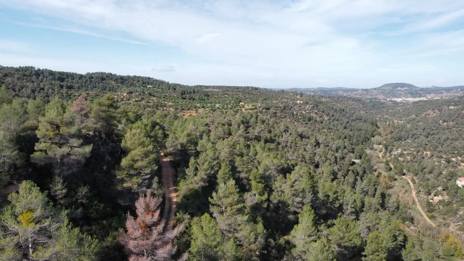 Terreno rustico in vendita a Cervià de Les Garrigues, imagen 25