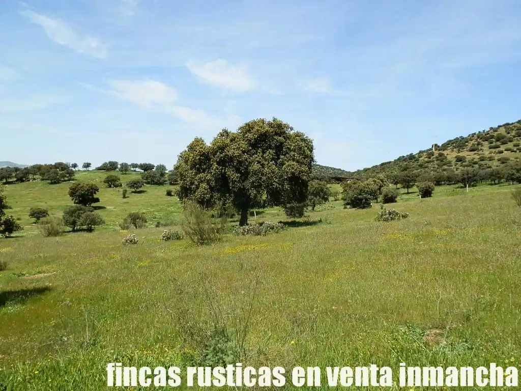 Rural land for sale in Calzada de Calatrava, imagen 16