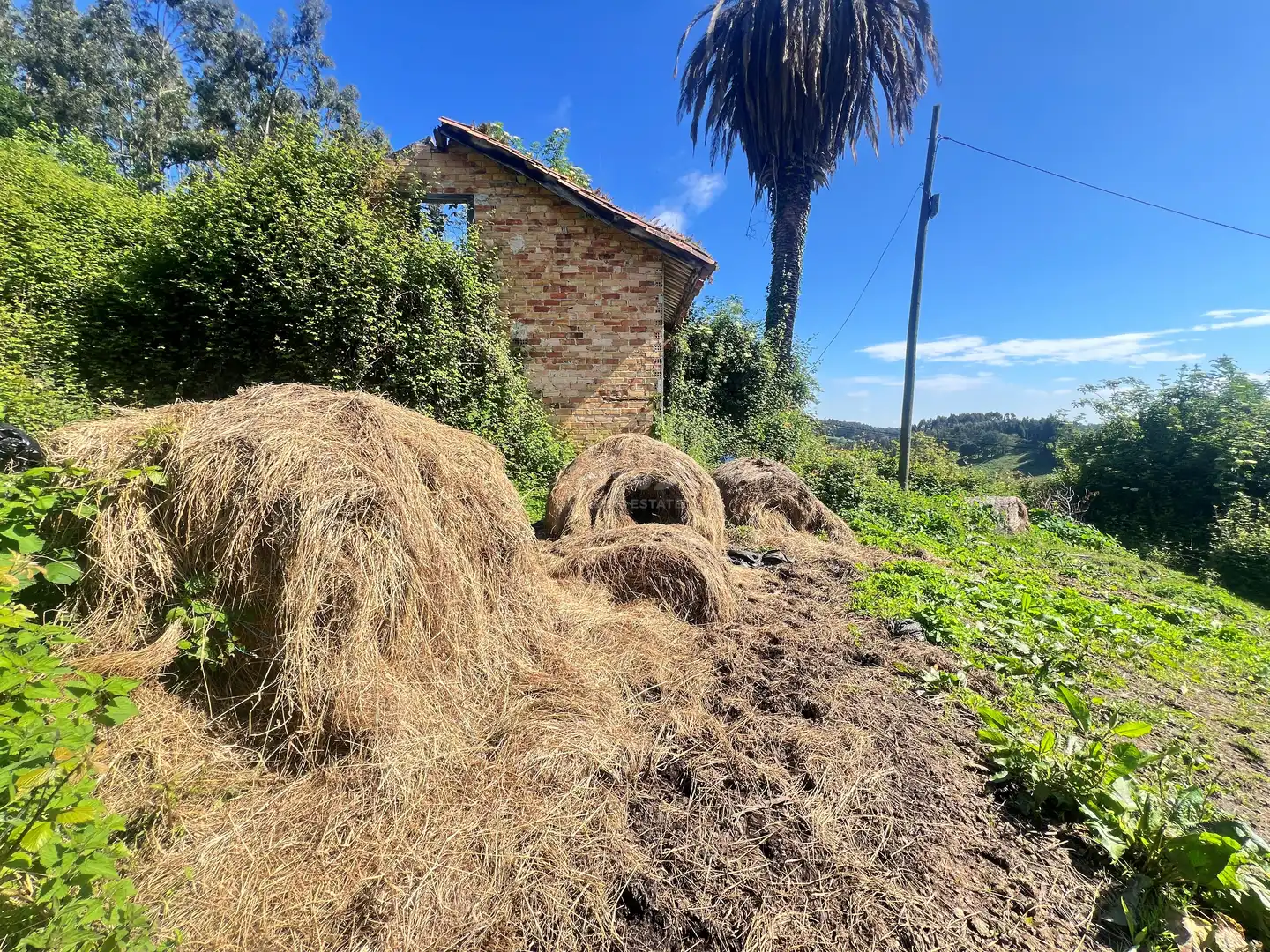 Garten von Einfamilien-Reihenhaus zum Verkauf in Castrillón