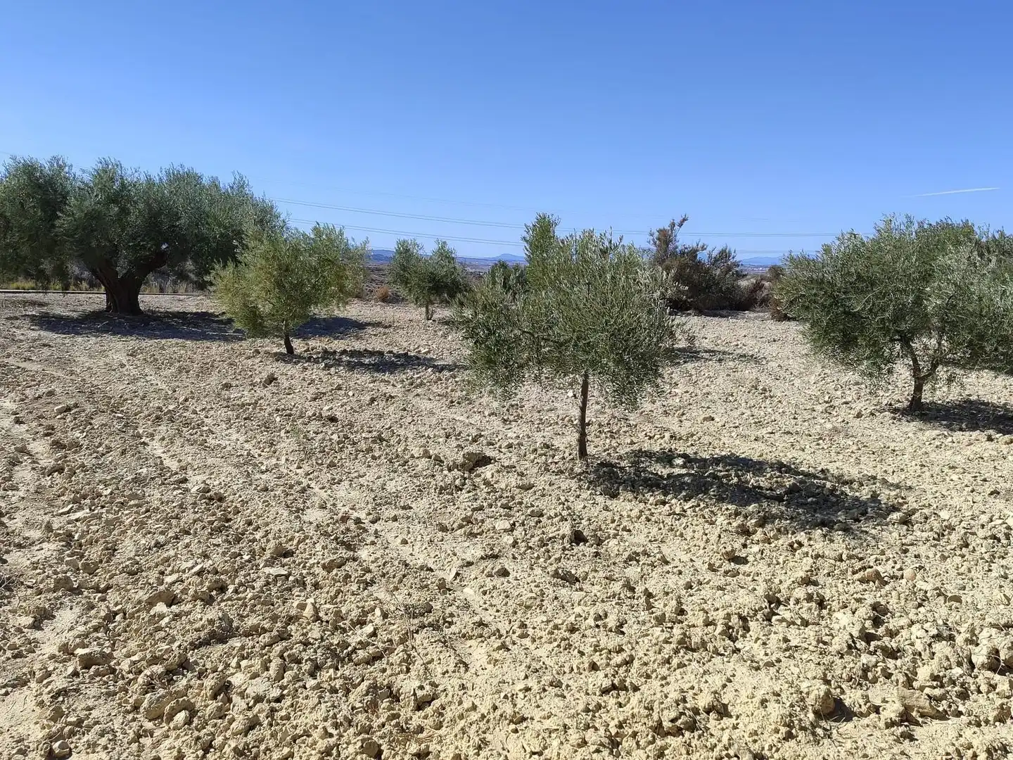 Lands and plots for sale in Abanilla, imagen 3