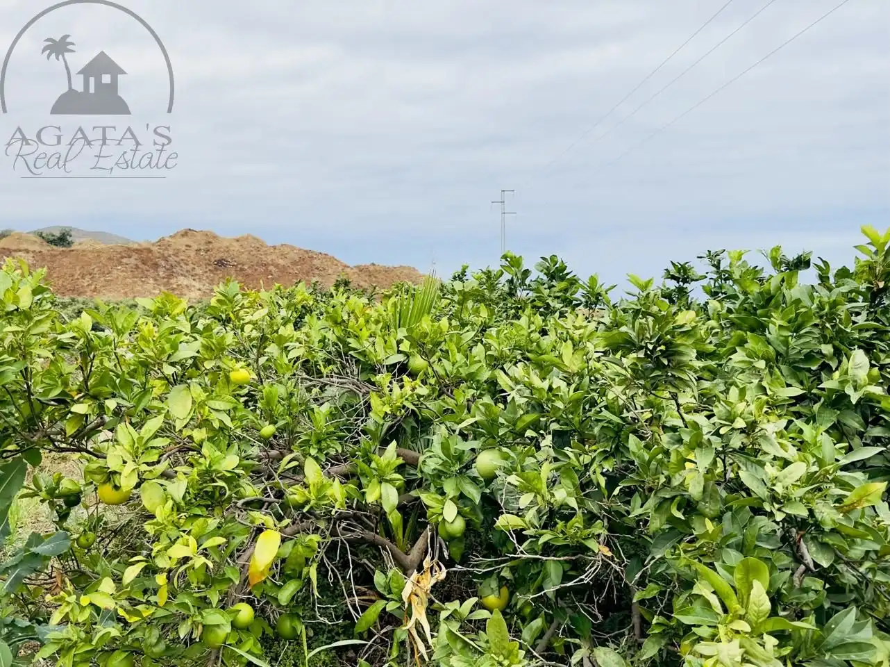 Finca rústica en venta en La Orotava con Jardín privado y Terraza