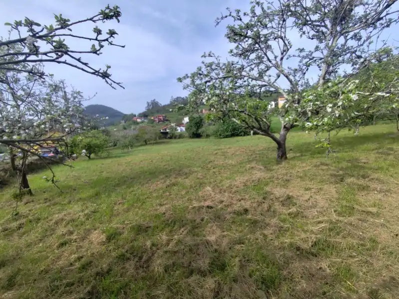 Residencial en venda en Pravia
