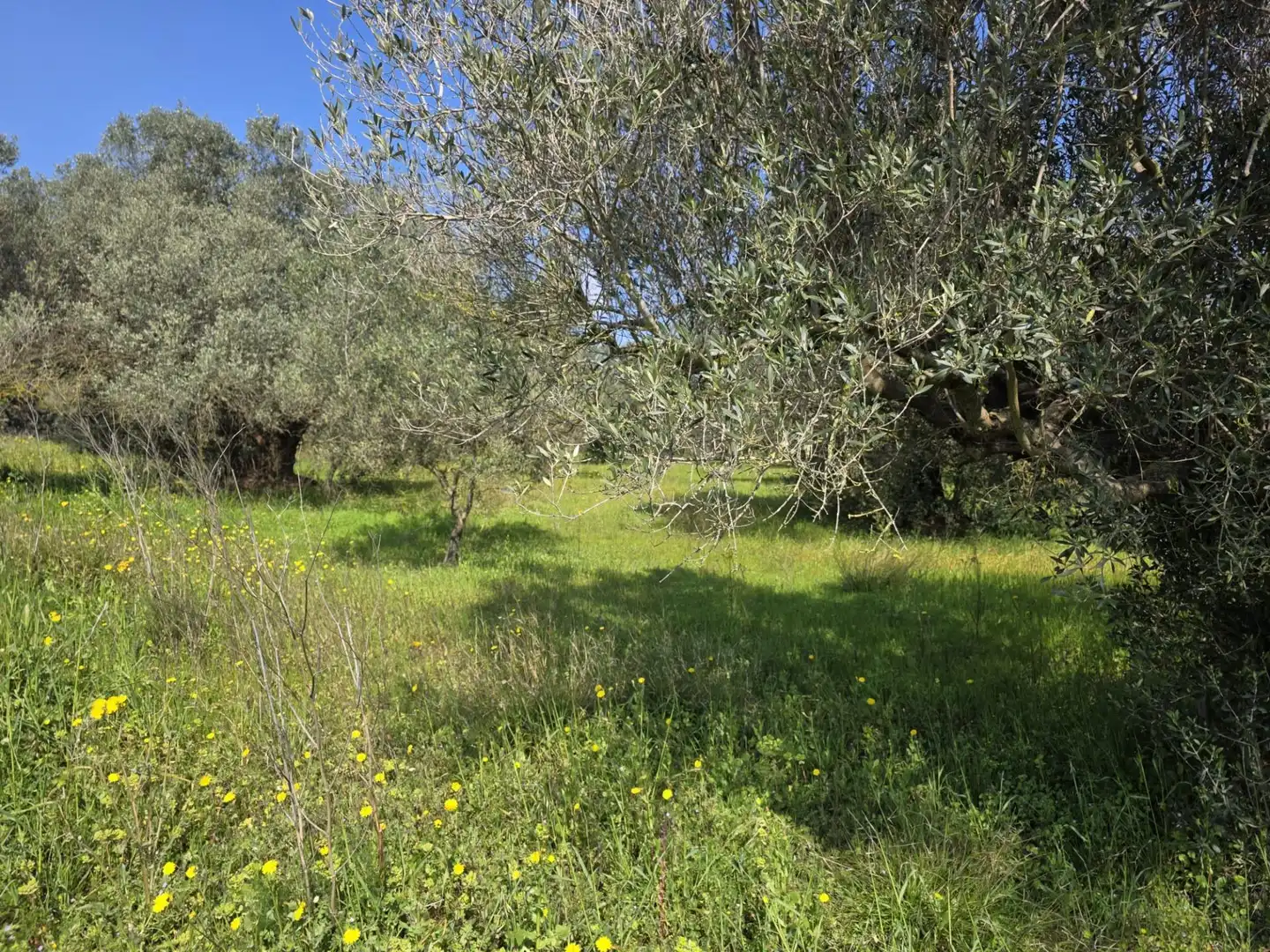 Terreno rustico in vendita a del Polígon Industrial 'La Ravaleta', imagen 12