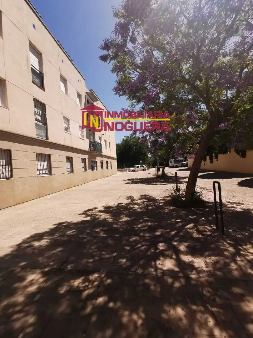 Exterior view of Flat for sale in Écija