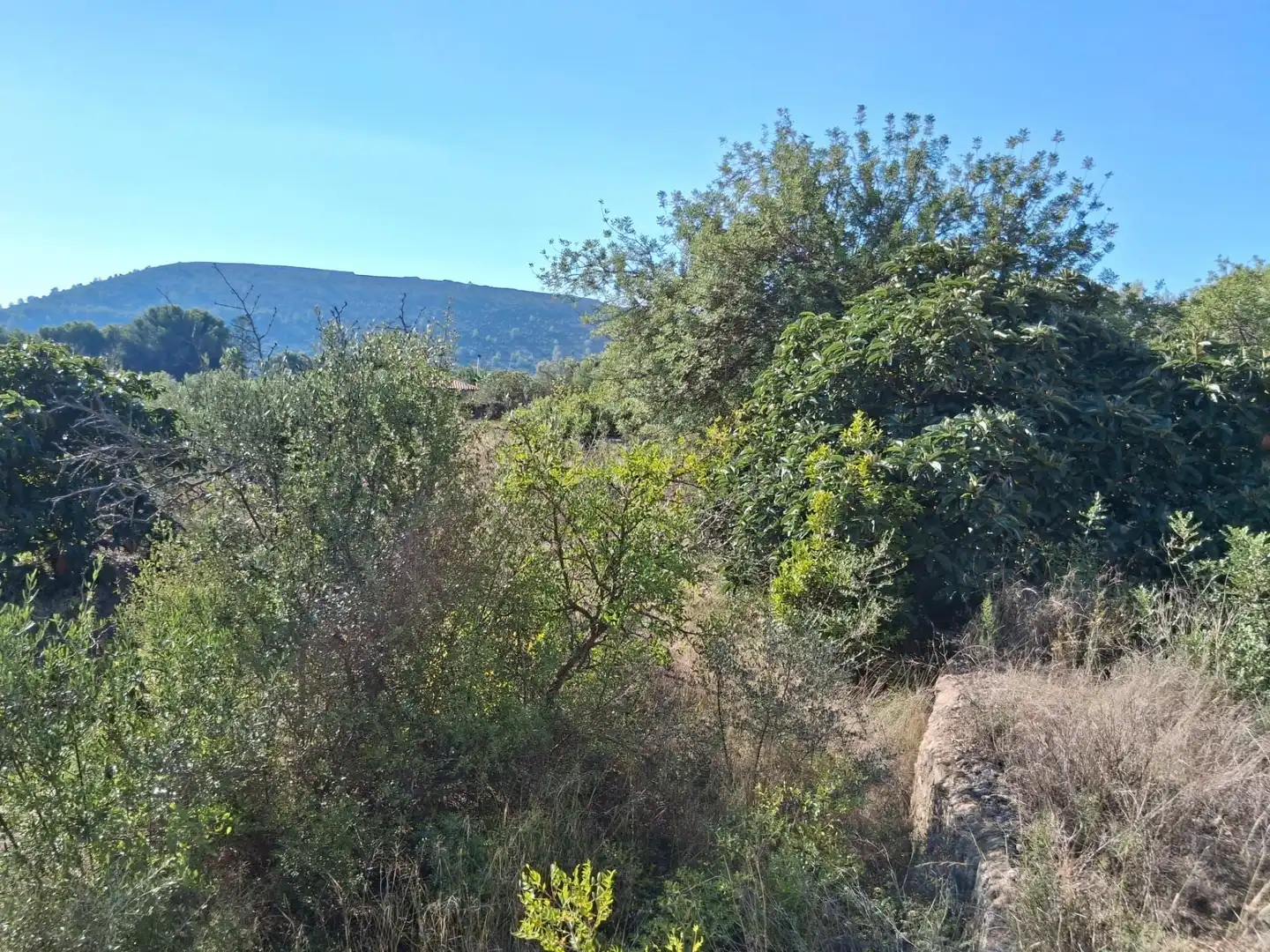 Wohnbaugrundstück zum Verkauf in L'Alcora, imagen 8