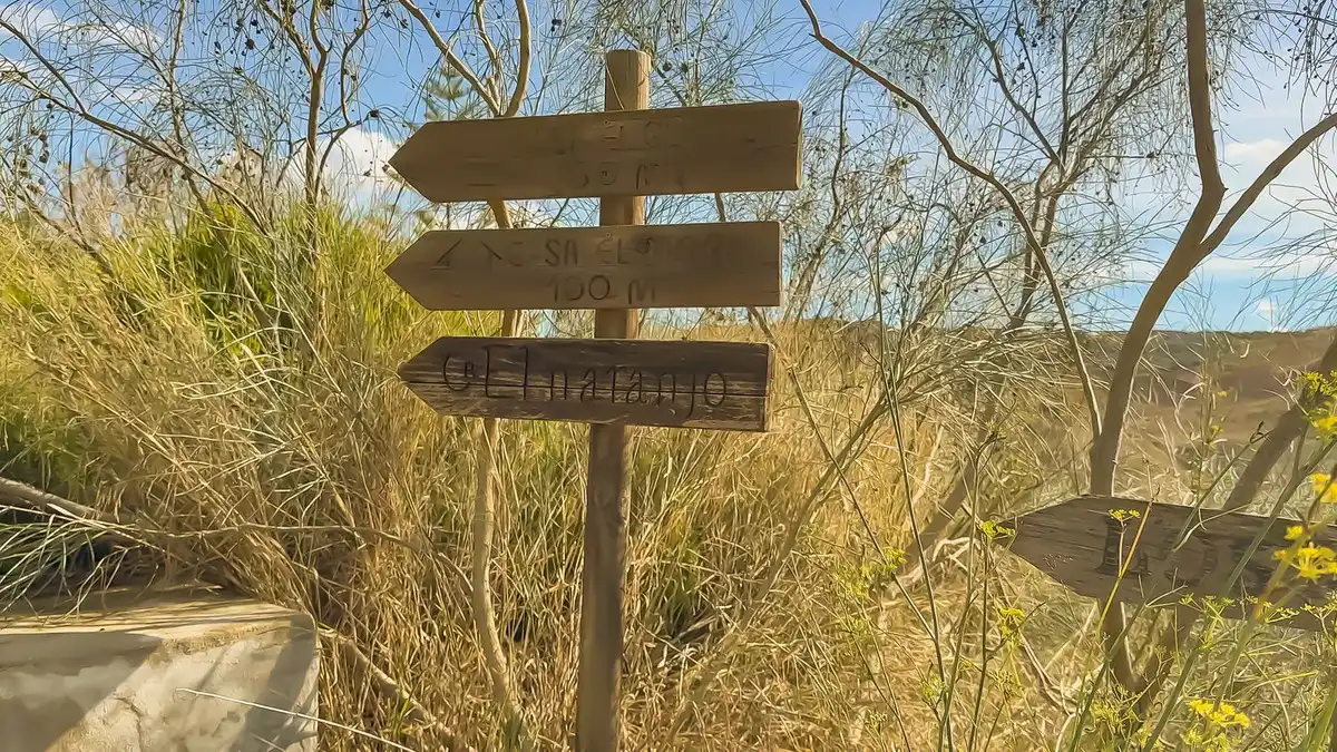 Vista exterior de Finca rústica en venta en Villanueva de la Concepción con Jardín privado, Terraza y Trastero