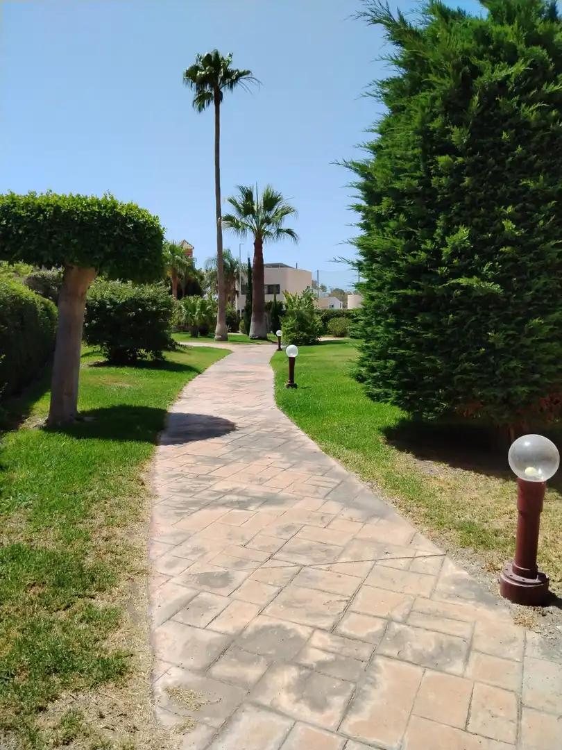 Apartament de lloguer a Playa de Granada