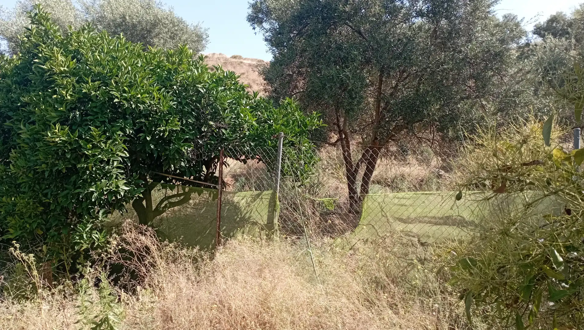 Terrain rustique à vendre à Lagos, imagen 3