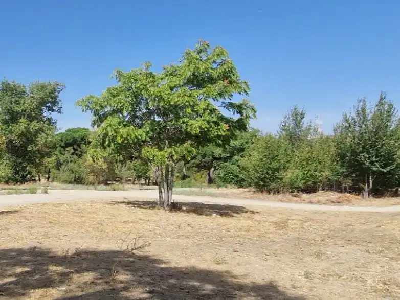 Casa o xalet en venda en Prado de Somosaguas - La Finca