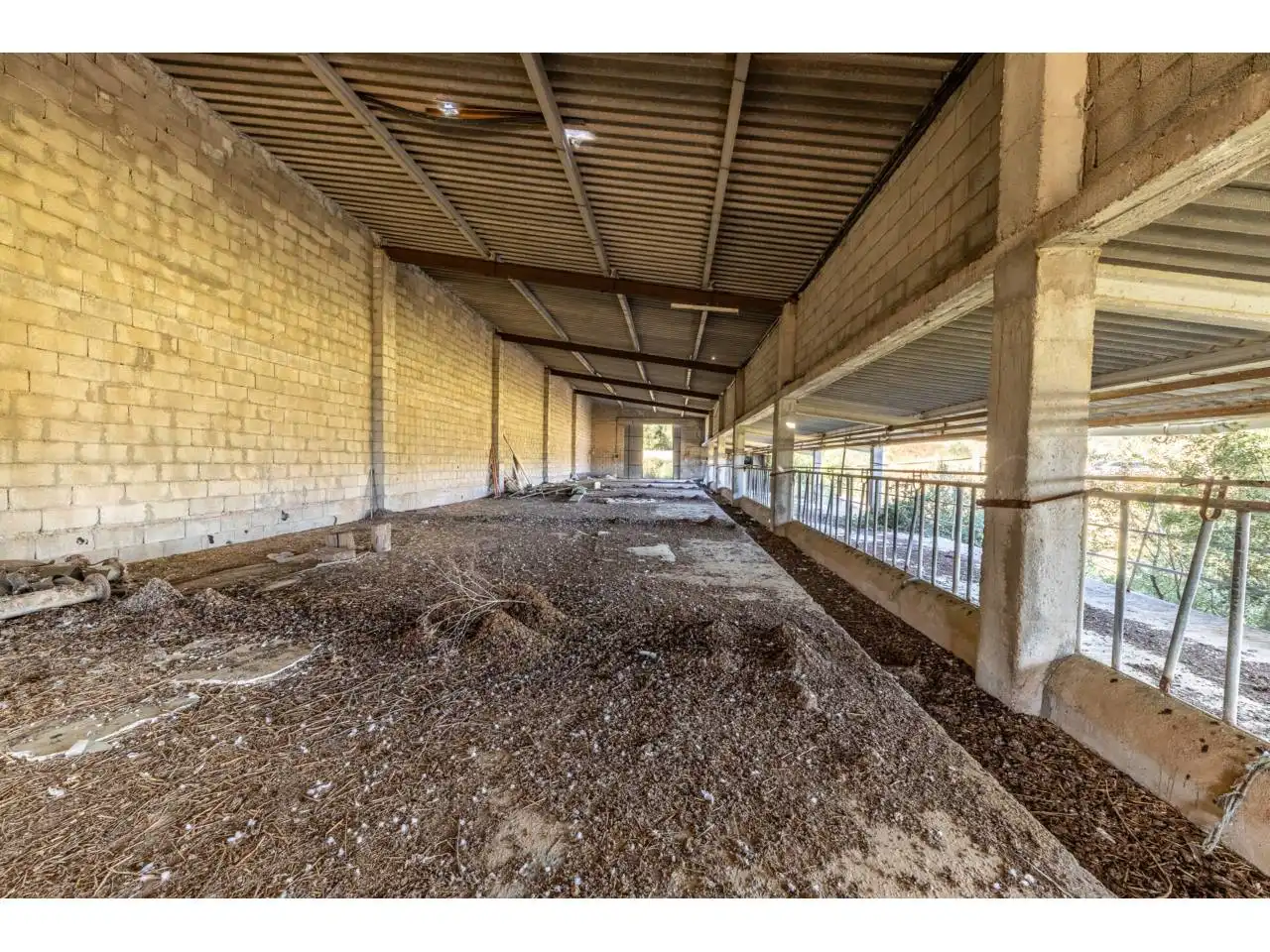 Terreno rustico in vendita a Llucmajor pueblo, imagen 61