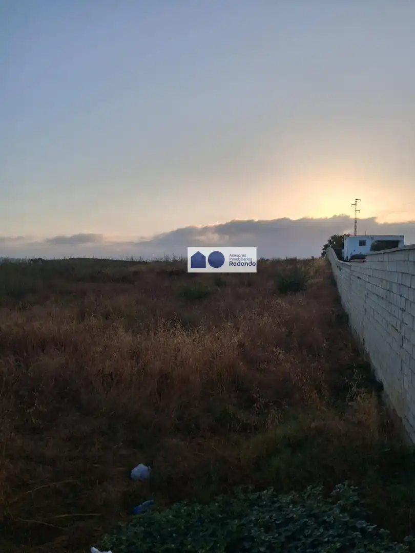 Rural land for sale in Moguer, imagen 2