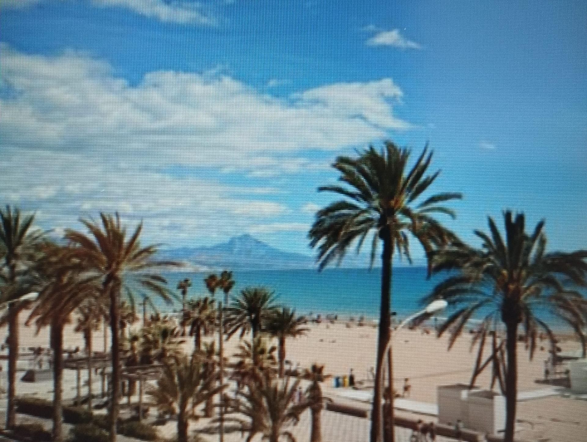 Exterior view of Premises to rent in Alicante / Alacant