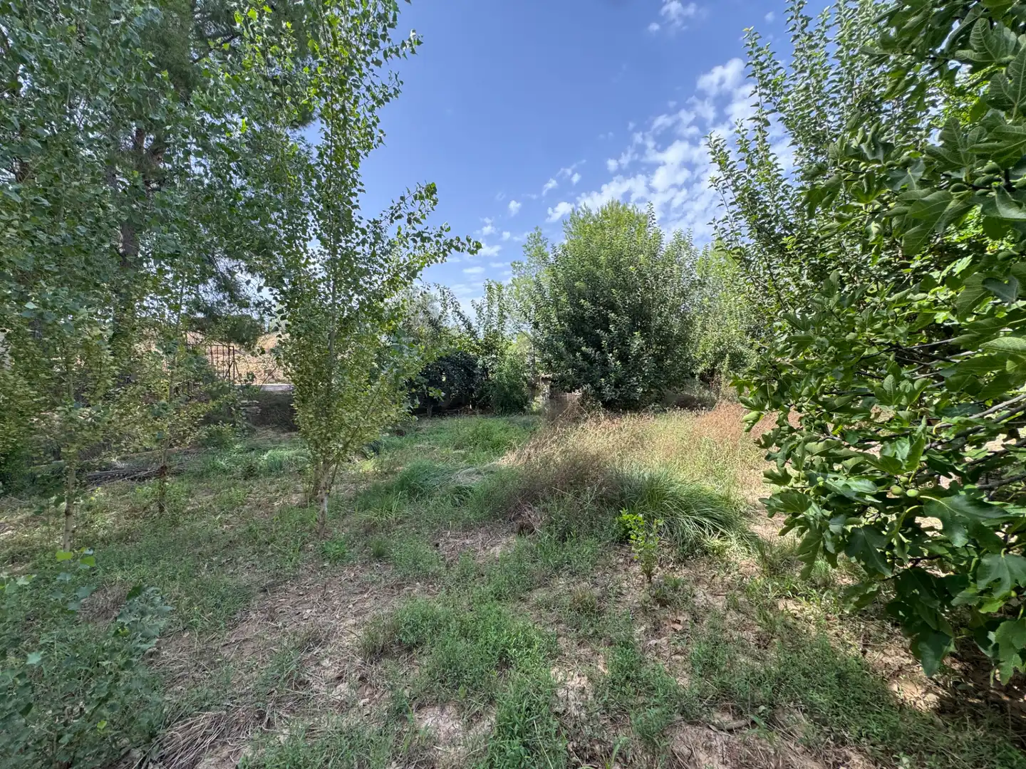 Houses for sale in Diseminado Escobar, 224, Cehegín