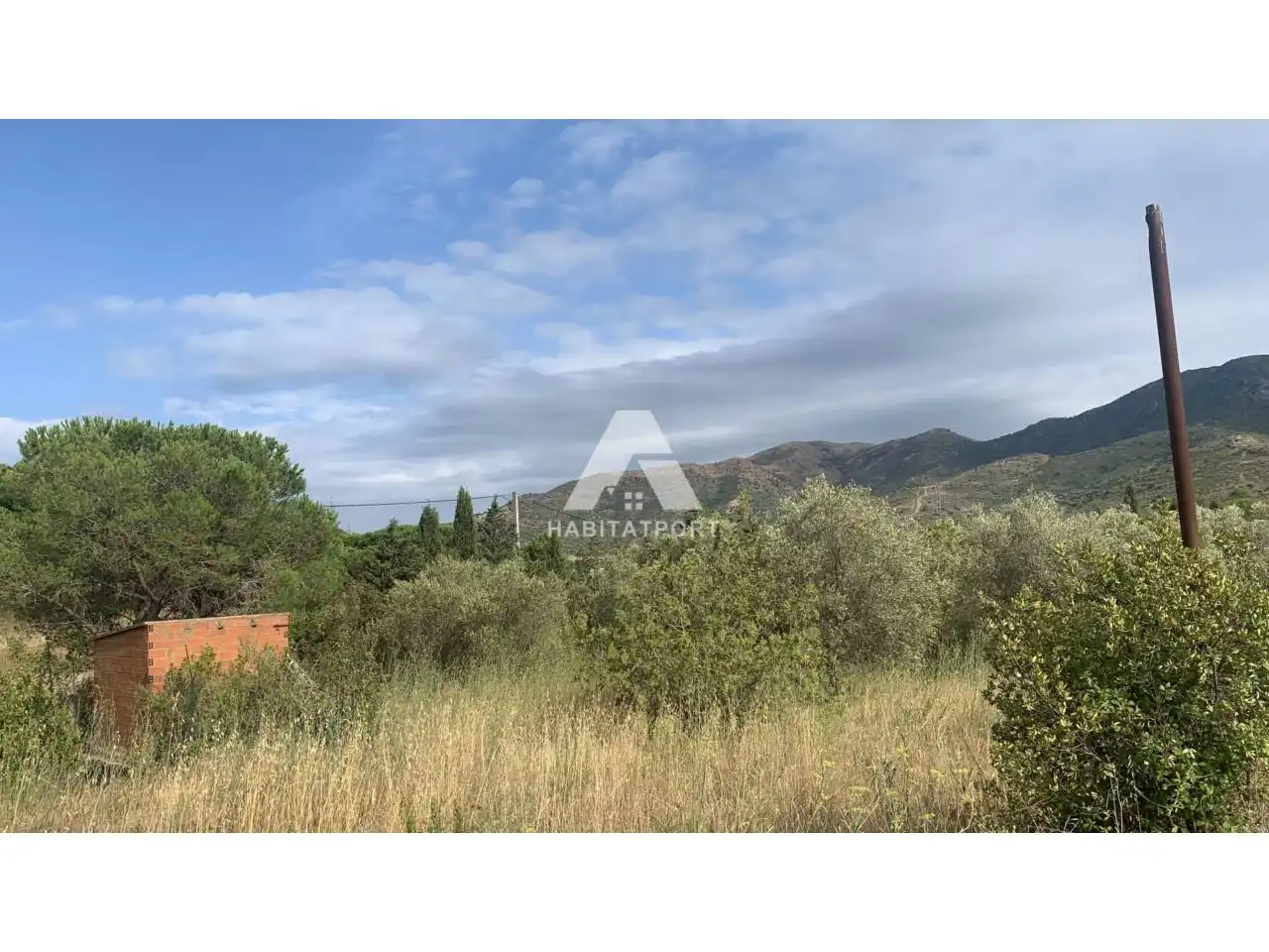 Nave industrielle à vendre à La Vila, imagen 6