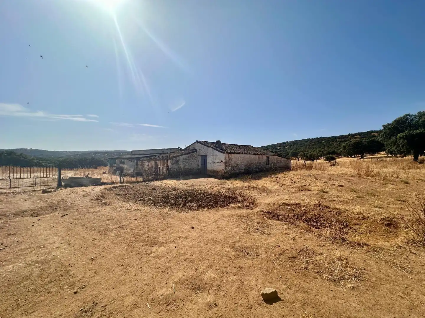 Rural land for sale in Fuente Obejuna, imagen 35