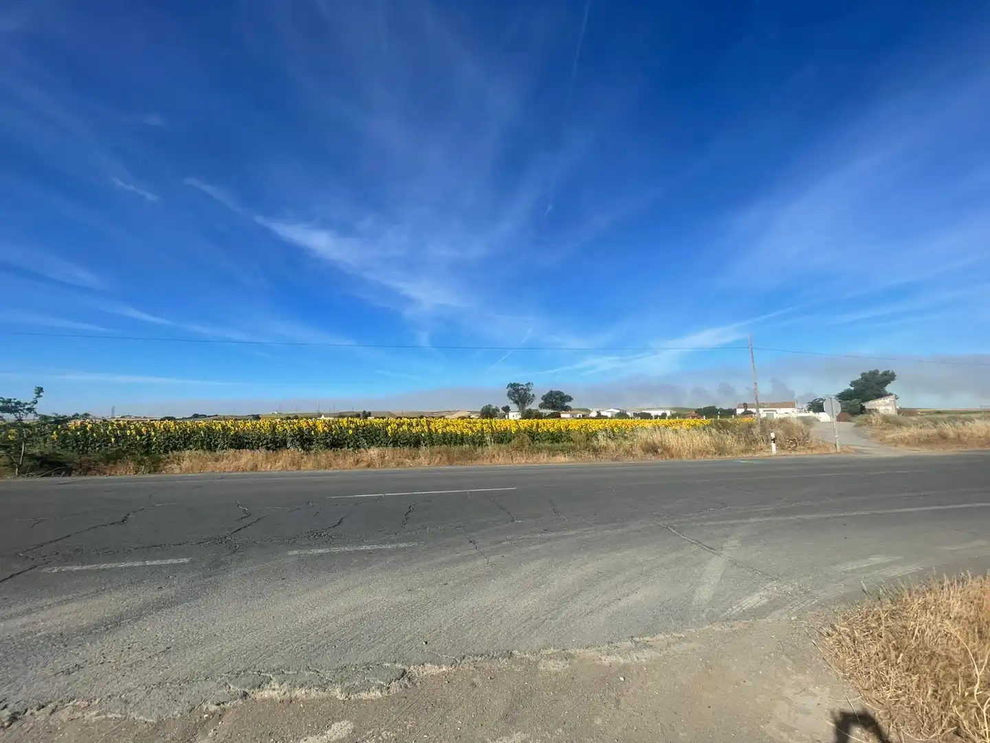 Land for sale in Huelva
