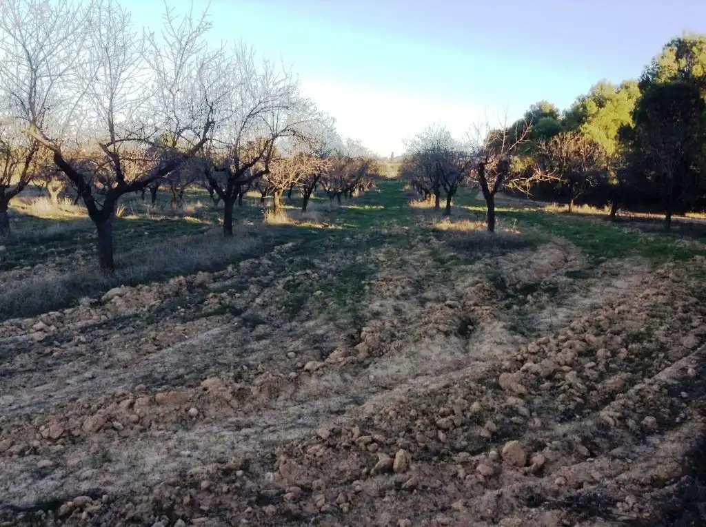 Terreni e lotti in vendita a Valderrobres, imagen 4