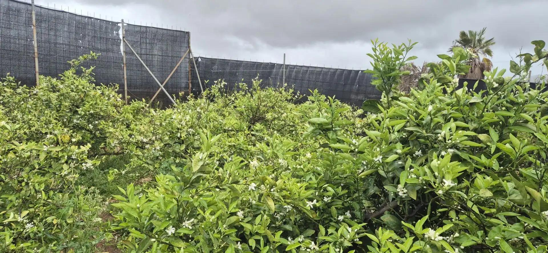 Terreno en venta en Antigua