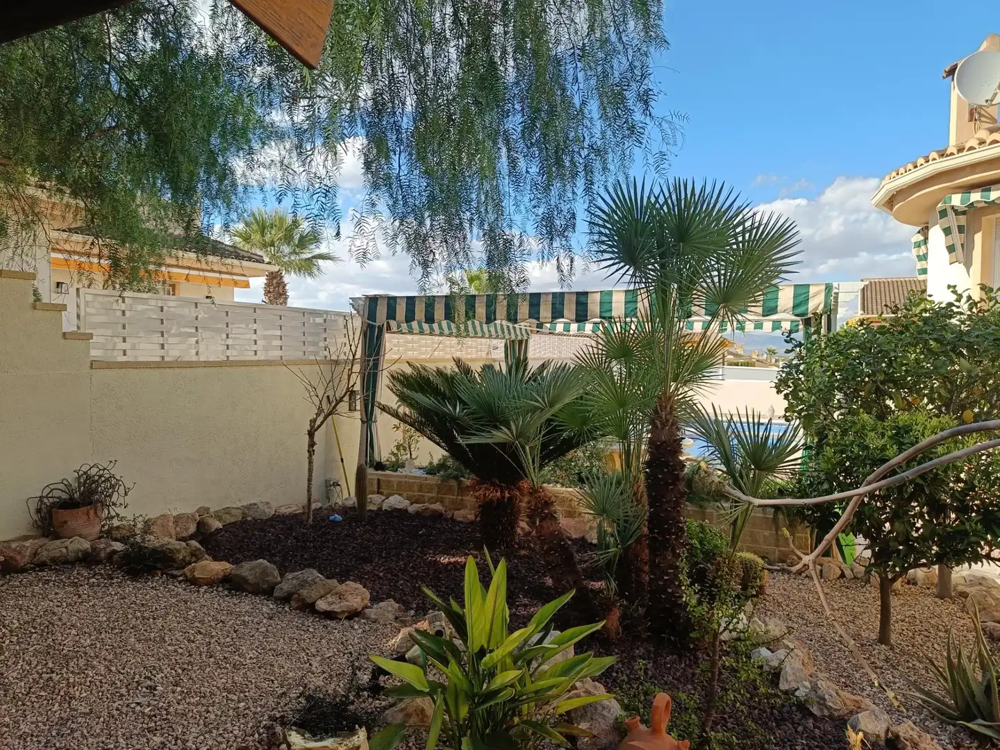 Jardí de Casa o xalet en venda en Benijófar amb Aire condicionat, Calefacció i Jardí privat