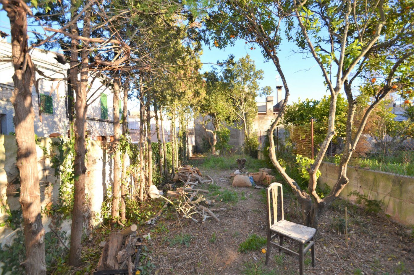 Jardí de Finca rústica en venda en Llubí amb Jardí privat i Terrassa