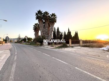 Terreny rústic en venda a Orihuela ciudad