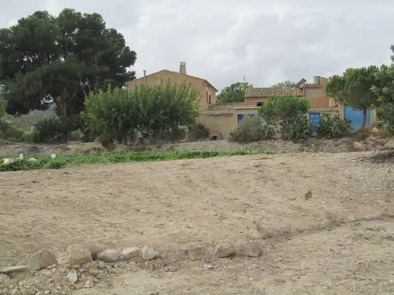 Rural land for sale in Novelda, imagen 6