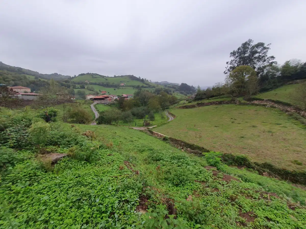 Casa en venda a Salas, imagen 6