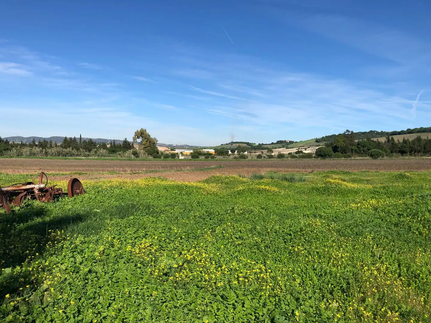 Country house for sale in Vejer, imagen 26