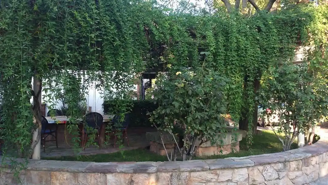 Garden of Land for sale in Tudela
