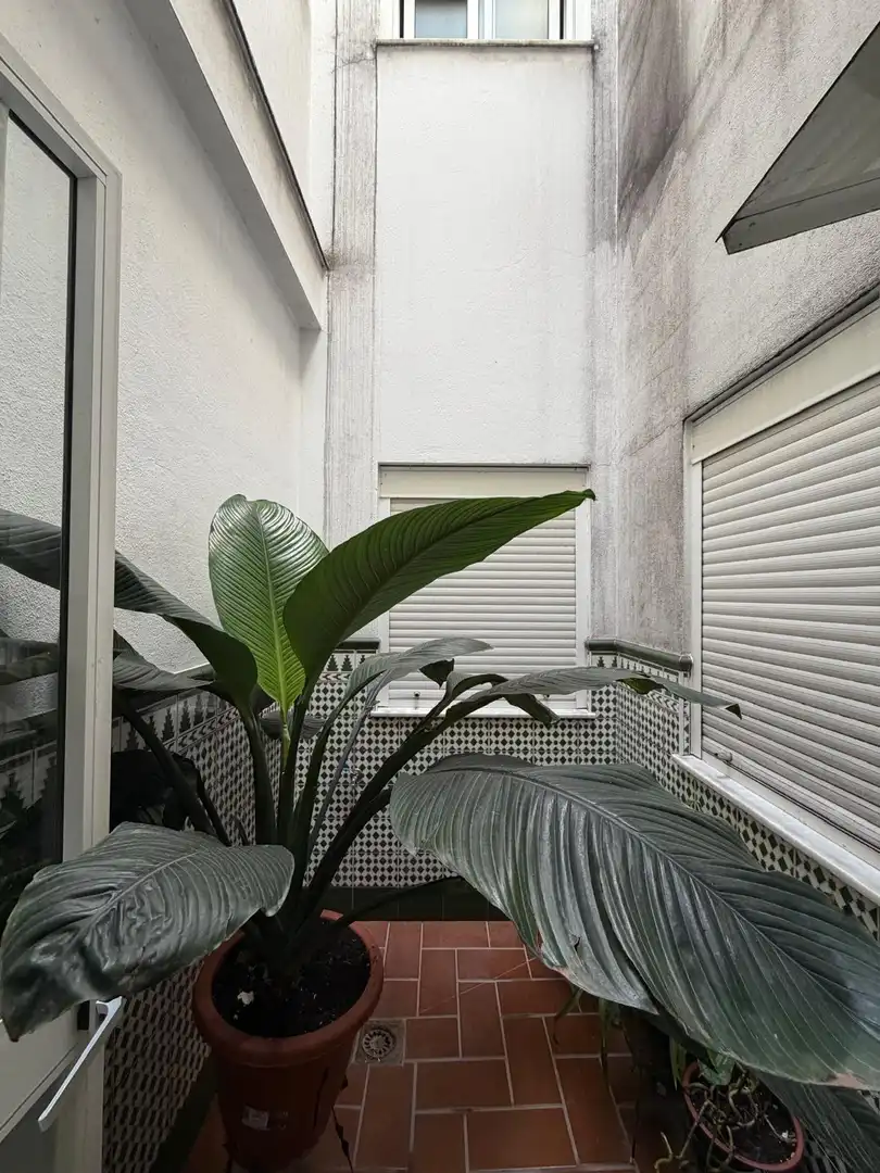 Terrasse von Wohnung zum Verkauf in Prado del Rey
